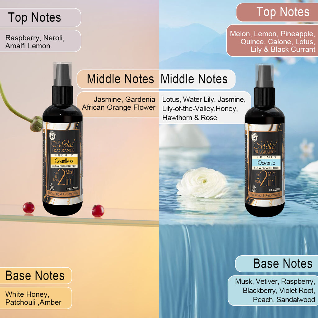 2 in 1 Set of 4 Perfume Body & Hair Mist